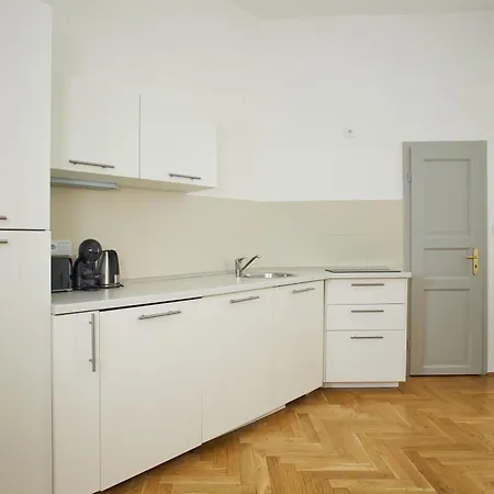 公寓式酒店 Wenceslas Square 4*